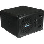 Anchor Audio AN-135+ 30 Watt Speaker Monitor (Black)