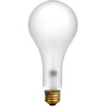 General Electric EBV Photoflood Lamp (500W/120V, Frosted)