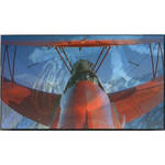 Orion Images 46RNASF Video Wall Solution (46" / 1168.4mm)