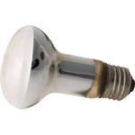 Morris Modeling Lamp - 60 watts - for AC Slave Specialist