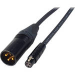 Laird Telemedia TA3F 3-Pin Female Mini-XLR to 3-Pin XLR Male Cable (2 Pack, 1')