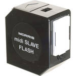 Morris Midi Slave DC Flash (Black)