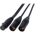 Laird Telemedia 5-Pin Female XLR to Dual 3-Pin XLR Male Balanced Line Breakout Cable