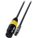 Laird Telemedia SNY-PWR7 3-Pin Fischer to 3-Pin XLR Female Power Cable (5' / 1.52 m)