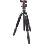 Giottos VGR8265-M2N Carbon Fiber Tripod/Monopod with Arca QR Ballhead
