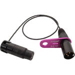 Ambient Recording QAT-ECO/CABLED