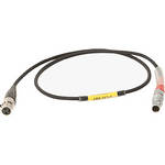 Ambient Recording CLOCKIT TC-OUT LEMO-5PIN to TA3F CABLE