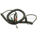 Ambient Recording COILED LOOM 2x XLR3/F to XLR7/M w/TRS