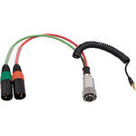 Ambient Recording BREAKOUT 10p HIROS to 2x XLR-3/M w/TRS