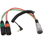 Ambient Recording BREAKOUT 10p HIROS to 2x XLR-3/M w/TRS