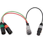 Ambient Recording BRKOUT 10p HIRO to 2x XLR-3/M w/XLR5/F