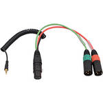 Ambient Recording BREAKOUT XLR-7/F to 2x XLR-3/M w/TRS