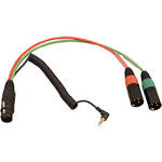 Ambient Recording BREAKOUT XLR-7/F to 2x XLR-3/M w/TRS