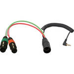 Ambient Recording IN BRKOUT XLR-7/M to 2x XLR-3/F w/TRS