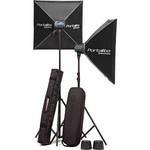 Elinchrom D-LITE RX 0NE 100w 2-LT PORT TO GO KIT