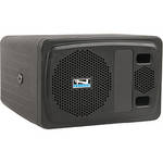 Anchor Audio AN-100CMU1+ Amplified Speaker with Wireless Receiver