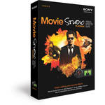 Sony SFTWR:MOVIE STUDIO PLATINUM 12/VIS EFX