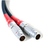 Elements 8-Pin to 8-Pin Power Cable (10')