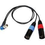 Cable Techniques TA5F R/A(RATPAC) to 2-XLR3/M BAG/18"