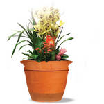 Ion Planter Speaker with Water-Resistant Wireless Speaker