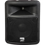 Peavey PR10D 10" 2-WAY PWRD SPEAKER 250-WATTS