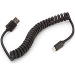 Griffin Technology USB Type A Male to Lightning Male (Black, 4')