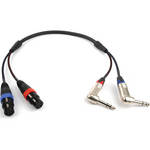 Remote Audio BAL 2-CH CBL 2-XLR3/F TO 2-1/4"TRS/2'
