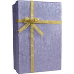Barska Gift Box Safe with Key Lock