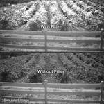 B+W 30.5mm 093 (87C) Infrared    Glass Filter