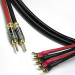 Canare 11 AWG 4S11 Speaker Cable with 2 BananaTo 4 Spade Connectors (35')
