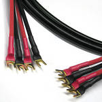 Canare 4S11 BIAMP SPK CBL 11G(4 SPD-4 SPD)50'
