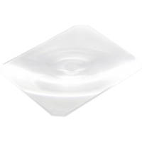 Arca-Swiss 8x10 Fresnel Lens