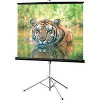 Draper 216002 Consul Portable Tripod Screen  (50 x 50")