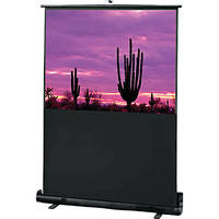Draper 230003 Road Warrior Portable Projection Screen (48 x 64")