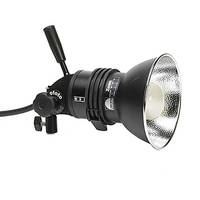 Profoto Pro Flash Head for Pro 7, 7B2, 8, D4 Systems