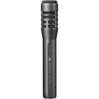 Audio-Technica AE-5100 - Large-Diaphragm Cardioid Instrument Microphone
