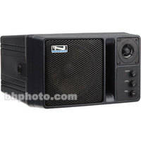 Anchor Audio AN-130 - Powered Two Way P.A. Speaker (Black)