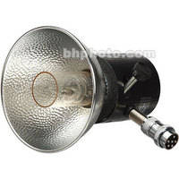 Lumedyne 800 W/S Flash Head - UV, NO Cord