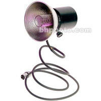 Lumedyne 2400 W/S Flash Head with Modeling Light, Straight Cord