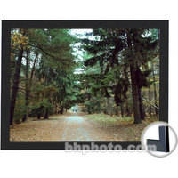 Draper 253210 Onyx Fixed Frame Projection Screen (50 x 67")