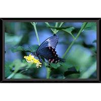 Vutec 01-SS060-060 Silver Star Fixed Frame Front Projection Screen (59 x 59")