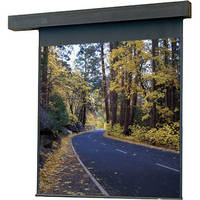 Draper 115170 Rolleramic Motorized Projection Screen (8 x 20')