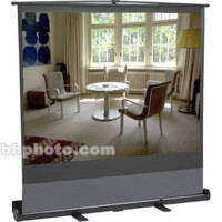 Bretford Portable "Road Show" Projection Screen, Model 6080D-48x64"