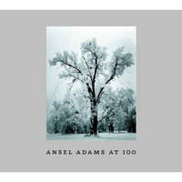Little Brown Book: Ansel Adams at 100