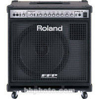 Roland 330W Bass Amplifier
