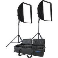 Westcott Monte Zucker Window Two Light Kit (120V)
