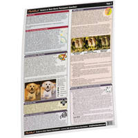 PhotoBert CheatSheet: Secrets of Great Digital Photography