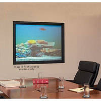 Draper Irus Rear Projection Screen with Frame 400 (38 x 48" )
