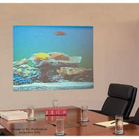 Draper Irus Rear Projection Screen Without Frame (36 x 48")