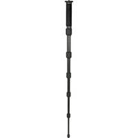 Giottos MM 8660 Carbon Fiber Monopod